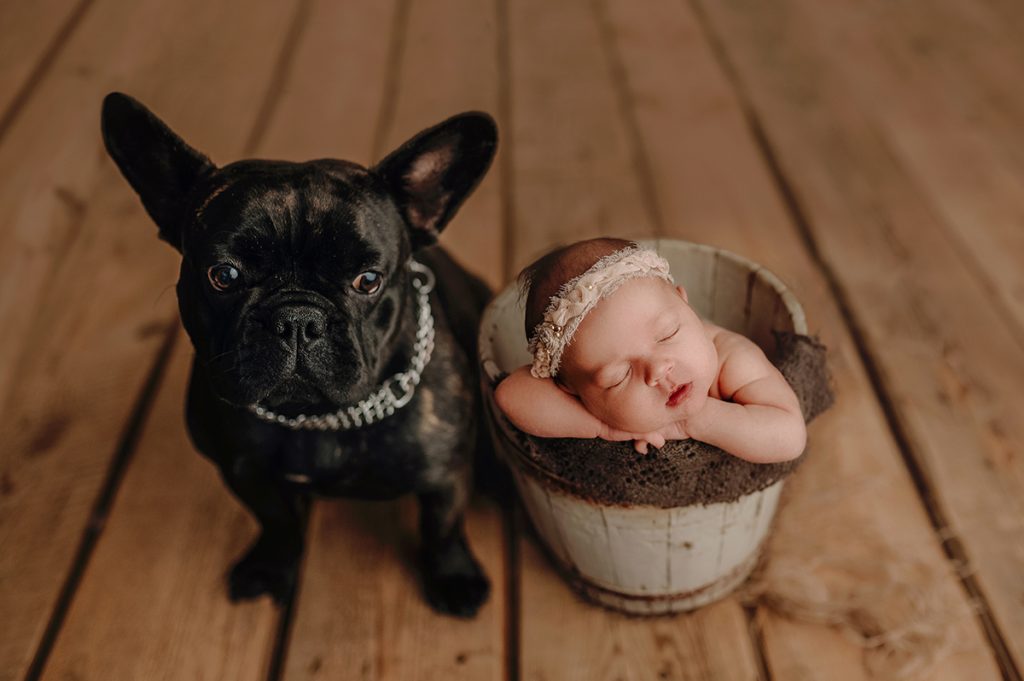 sesja noworodkowa z psem Zelona góra